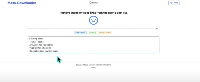 OnlyFans downloader chromebulk onlyfans downloader