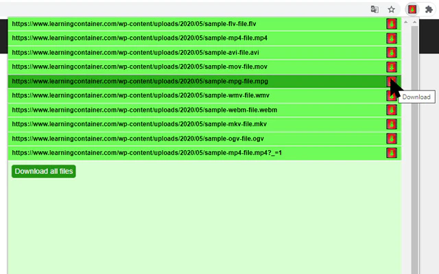 flash video downloader