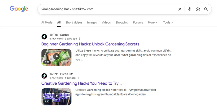 google search tiktok