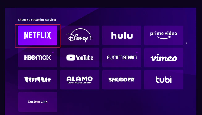 log into netflix in scener