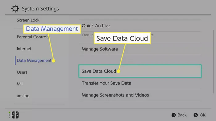 save game data to nintendo cloud