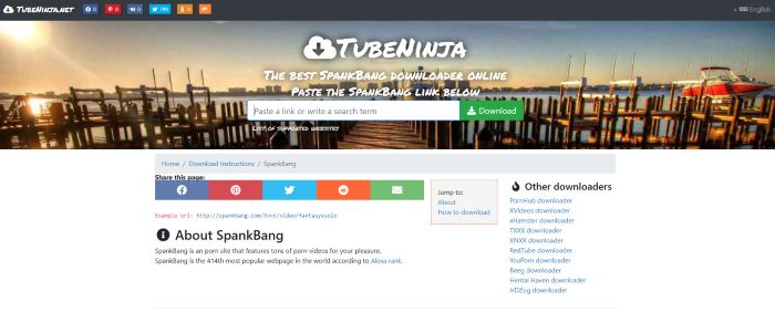 tubeninja.net