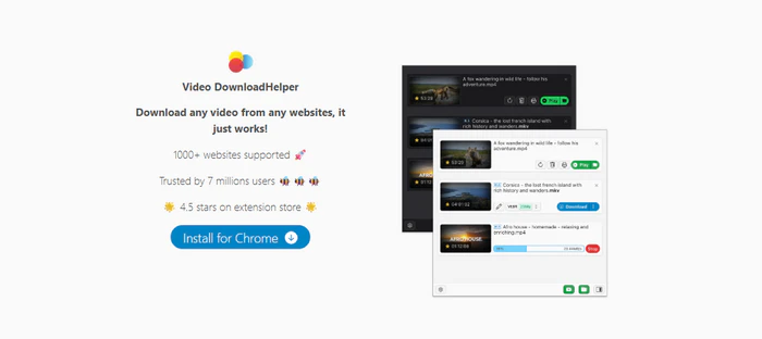 video downloadhelper