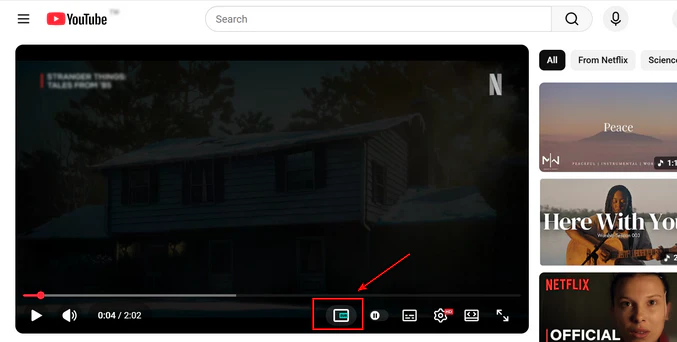 youtube subtitle downloader extension