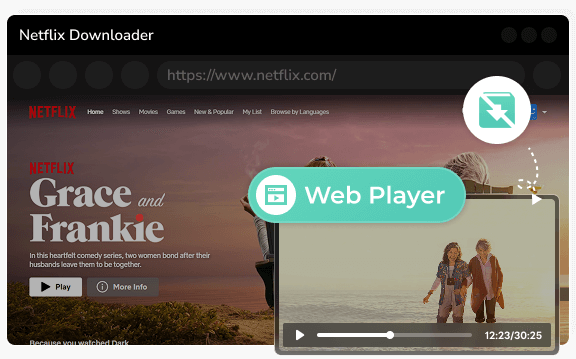 built-in netflix web player