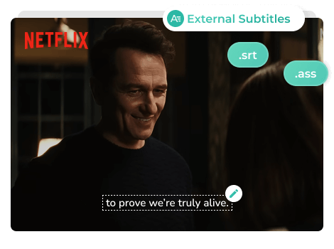 netflix external subtitles