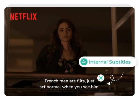 netflix internal subtitles