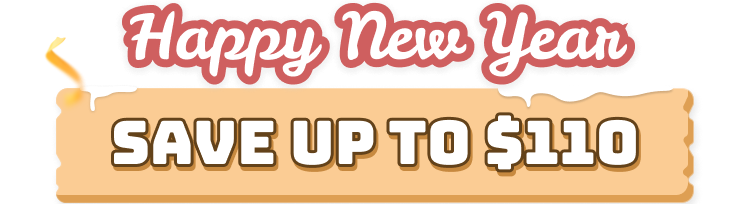 flixicam 2026 new year sale